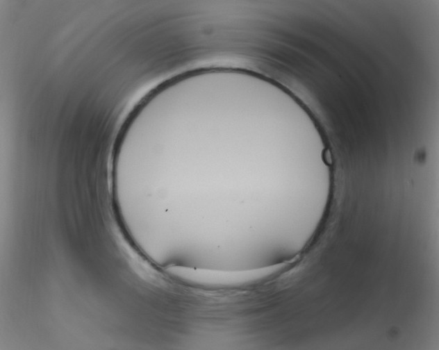 X0000115200988200911251439