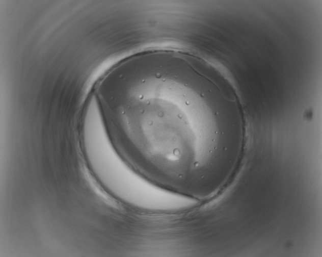 X0000115200989200911251439