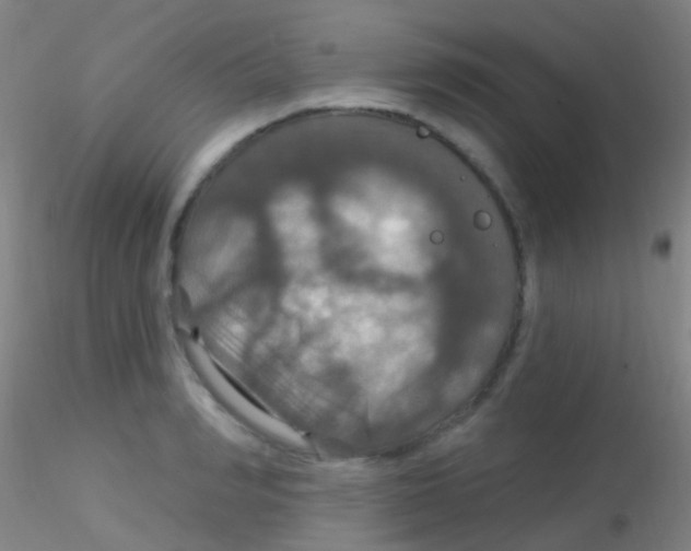 X0000115200990200911251439