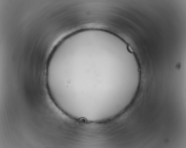 X0000115200992200911251439