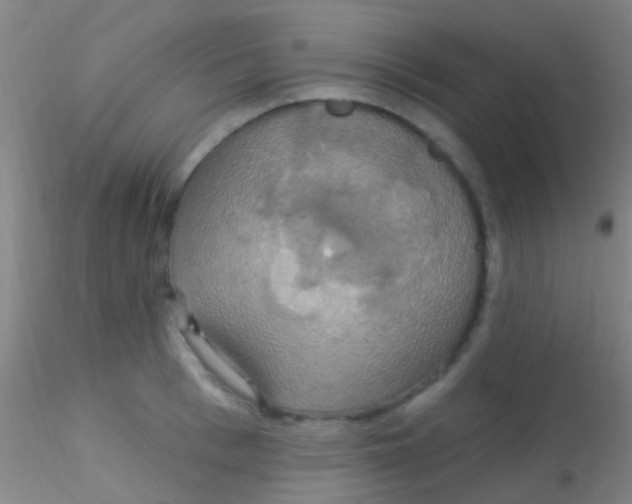 X0000115200993200911251439