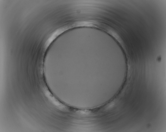 X0000115200994200911251439