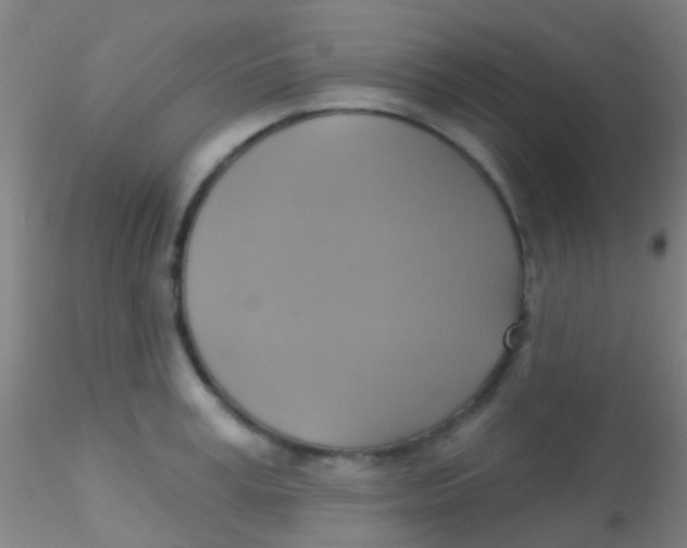 X0000115200995200911251439