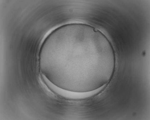 X0000115200996200911251438