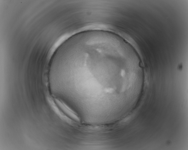 X0000115200997200911251438