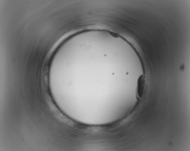 X0000115201000200911251438