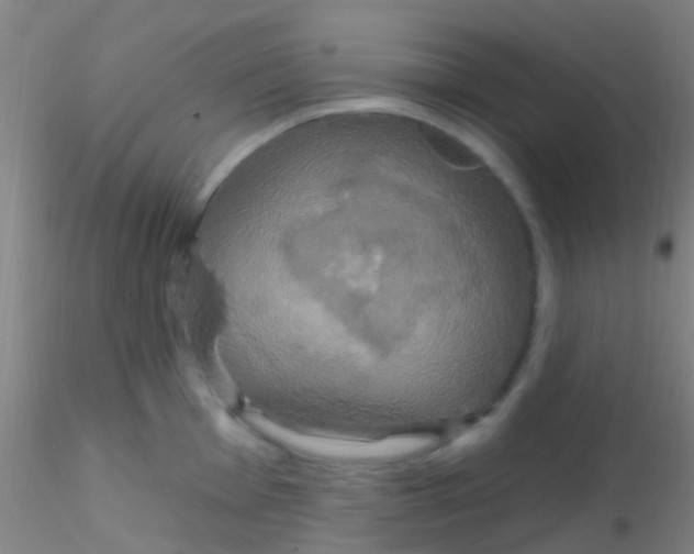 X0000115201001200911251438