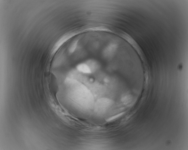 X0000115201002200911251438