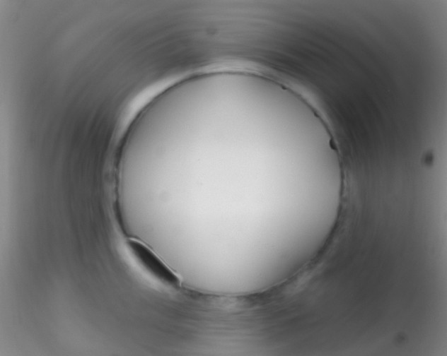 X0000115201003200911251438