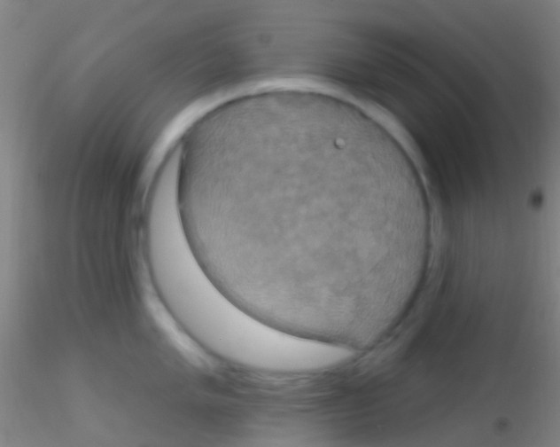 X0000115201005200911251438