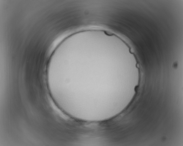 X0000115201006200911251438