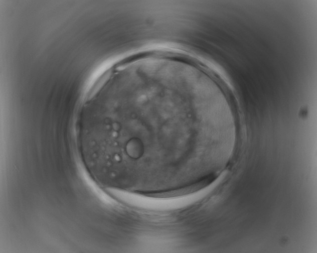 X0000115201007200911251438