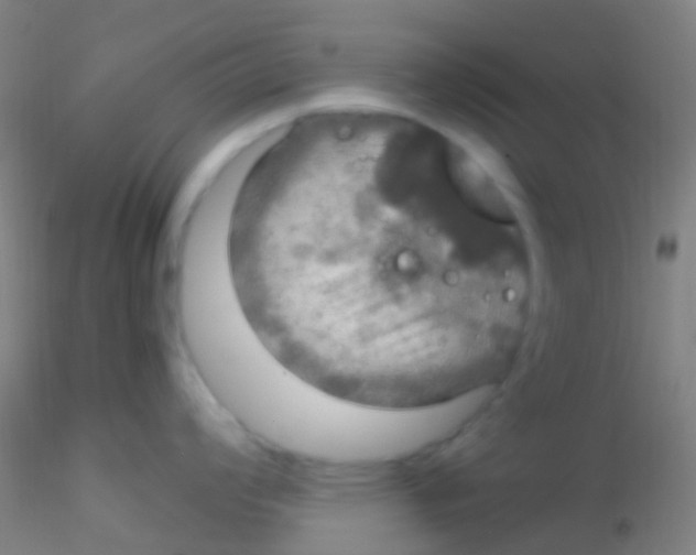 X0000115201008200911251438
