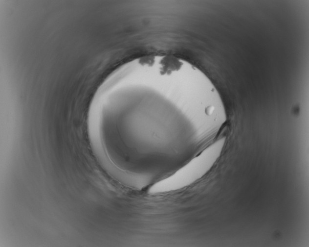 X0000115201009200911251438