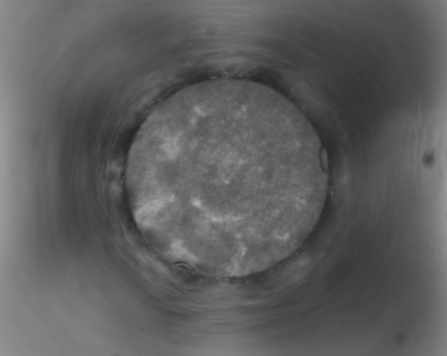 X0000115201010200911251438