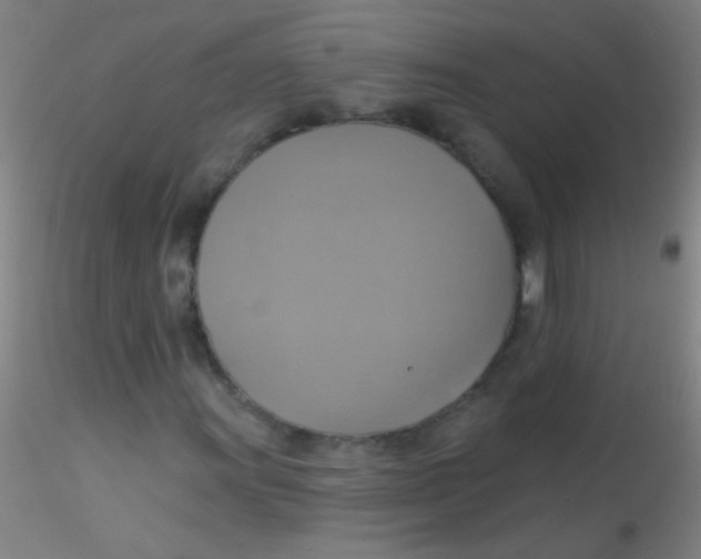 X0000115201011200911251438