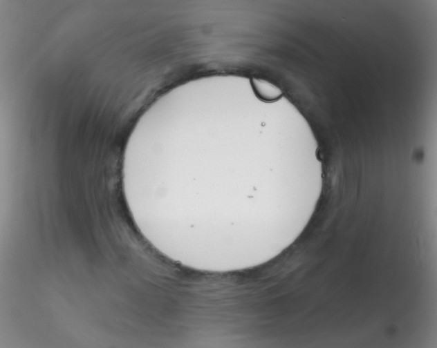 X0000115201012200911251438