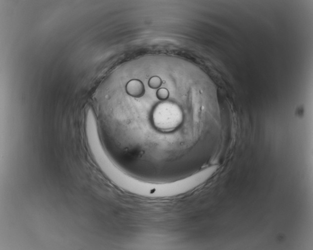 X0000115201013200911251438