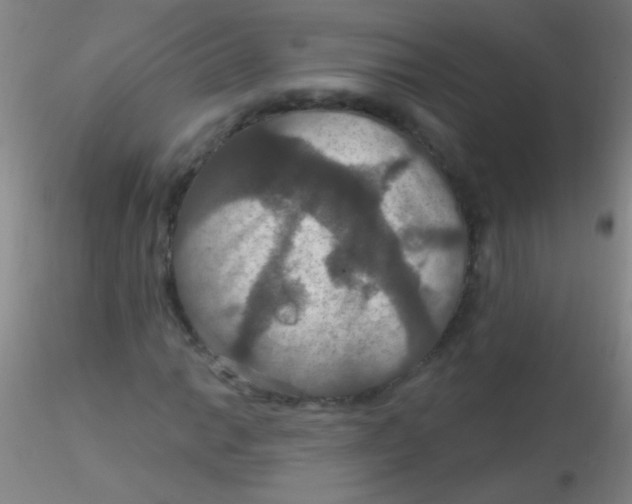 X0000115201014200911251438