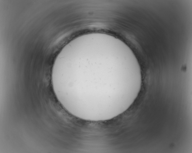 X0000115201015200911251438
