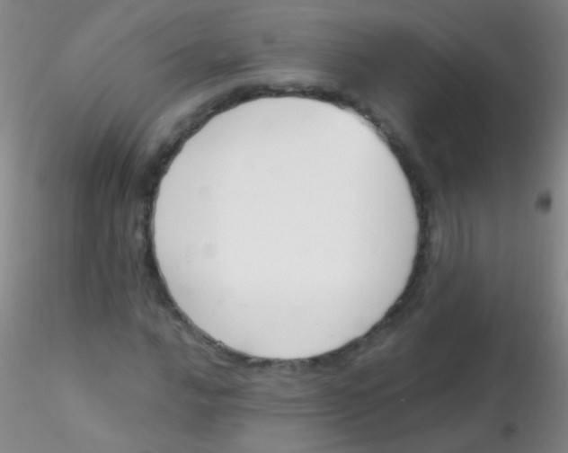 X0000115201016200911251438