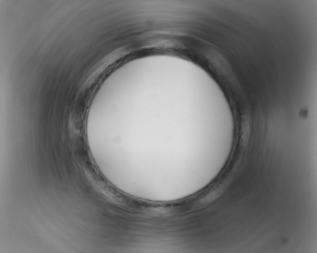 X0000115201017200911251438