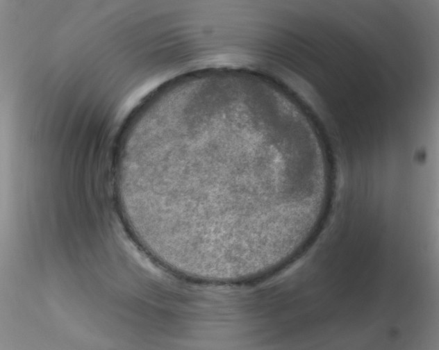 X0000115201018200911251438