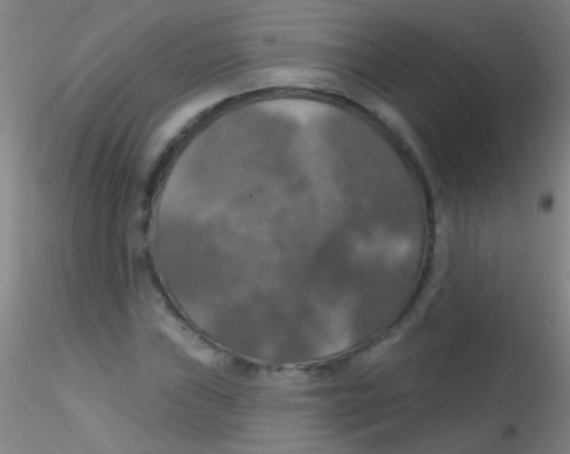 X0000115201019200911251438