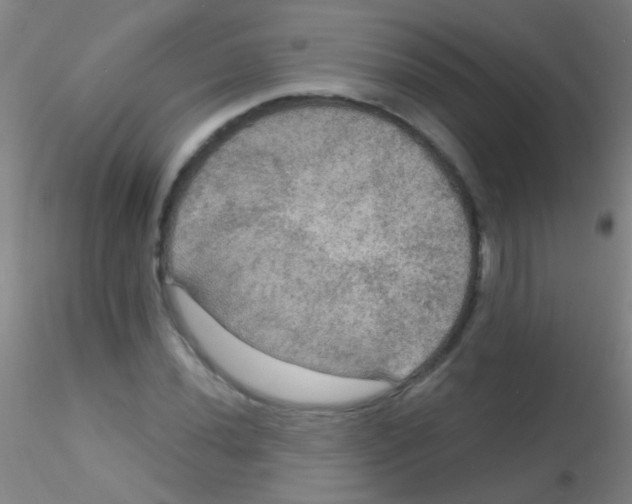 X0000115201020200911251438