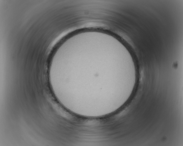 X0000115201021200911251438