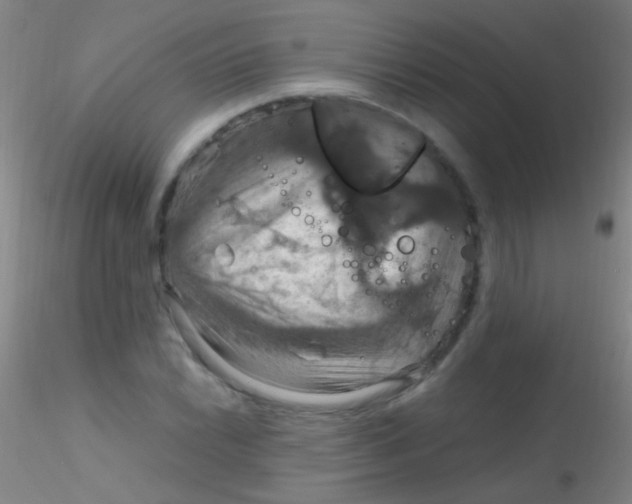X0000115201022200911251438