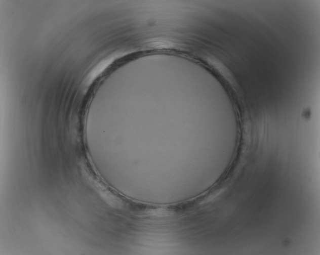 X0000115201023200911251438