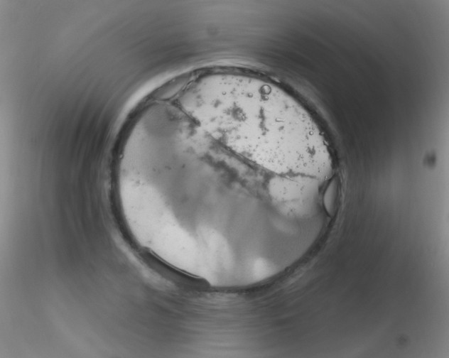 X0000115201024200911251438