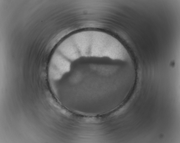 X0000115201025200911251438
