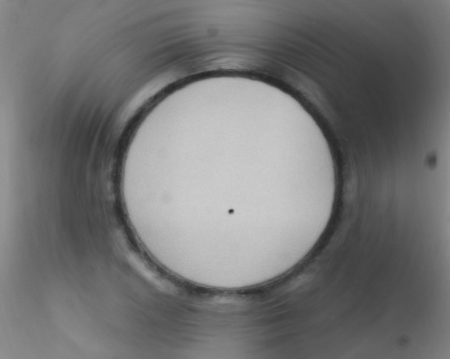 X0000115201026200911251438