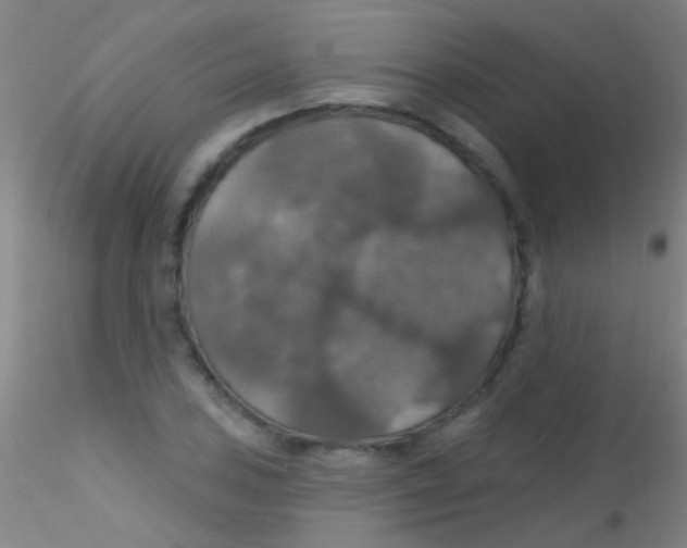 X0000115201027200911251438