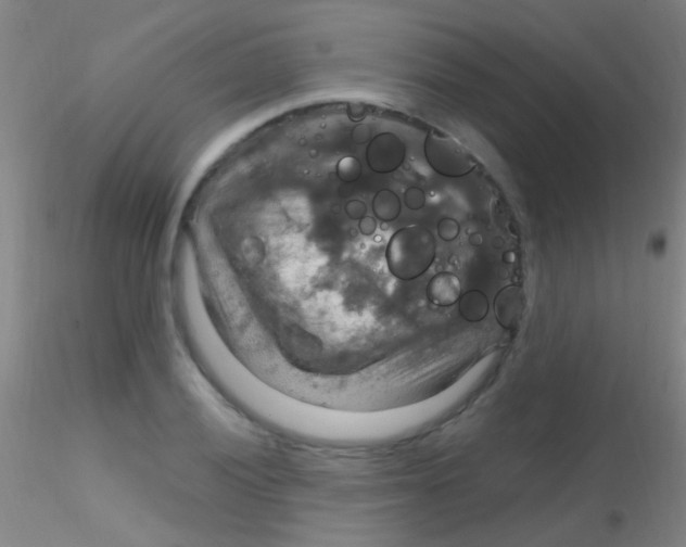 X0000115201028200911251438