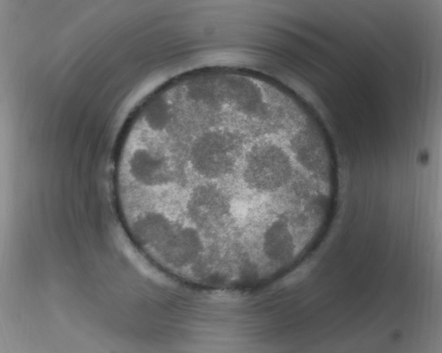 X0000115201029200911251438