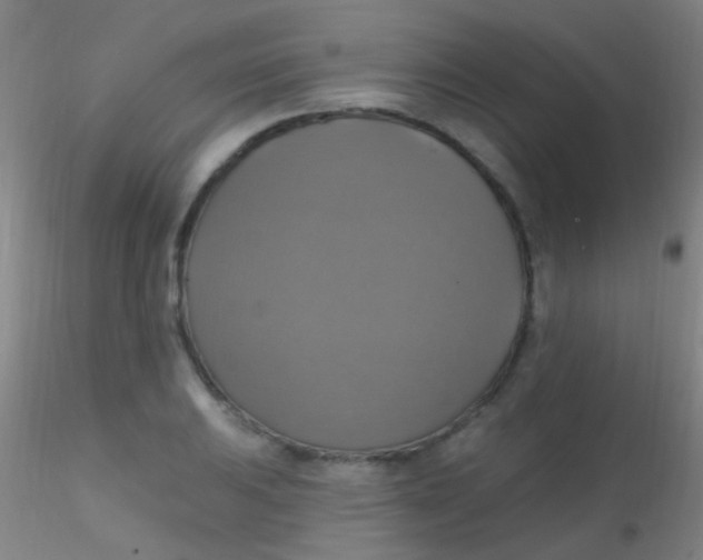 X0000115201031200911251438