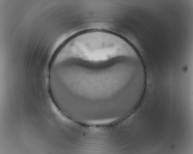 X0000115201032200911251438