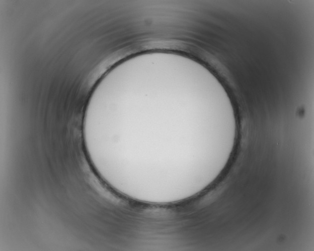 X0000115201033200911251438