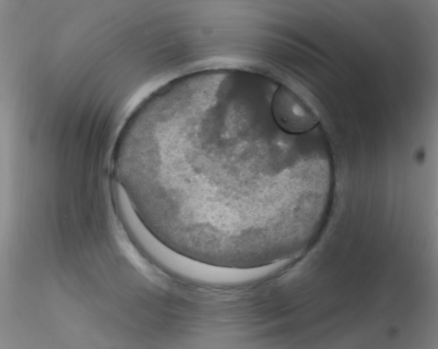 X0000115201034200911251438