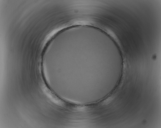 X0000115201035200911251438