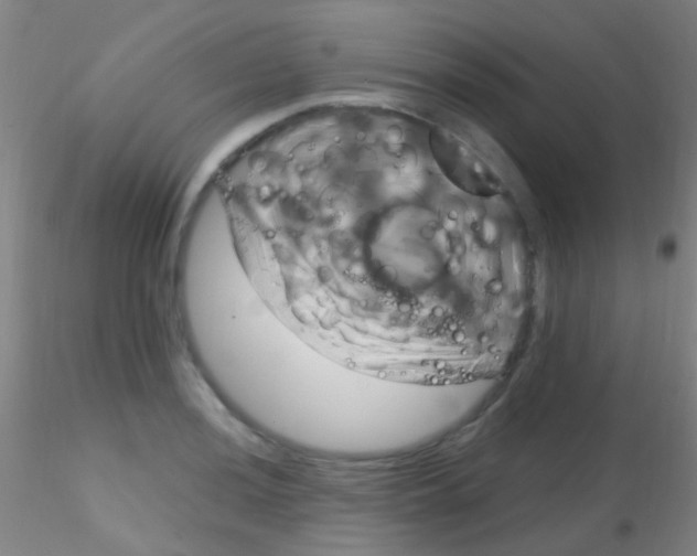 X0000115201036200911251438