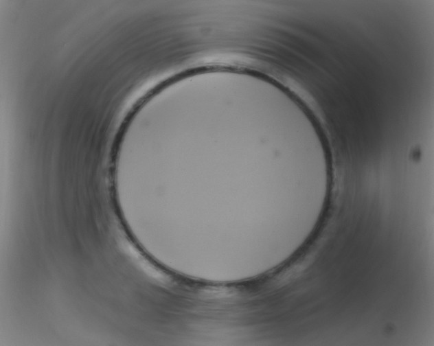 X0000115201037200911251438