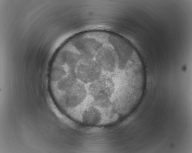 X0000115201038200911251438