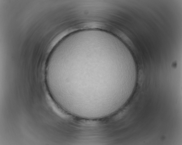X0000115201039200911251438