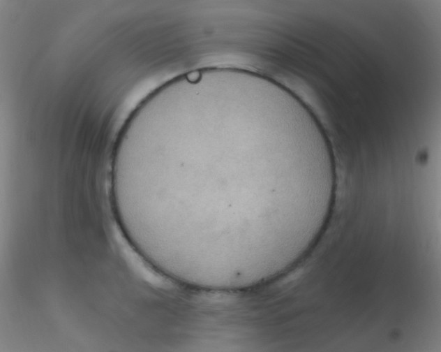 X0000115201040200911251438