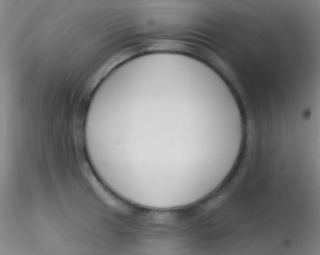 X0000115201041200911251438