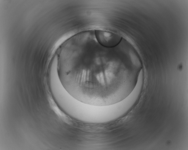 X0000115201042200911251438
